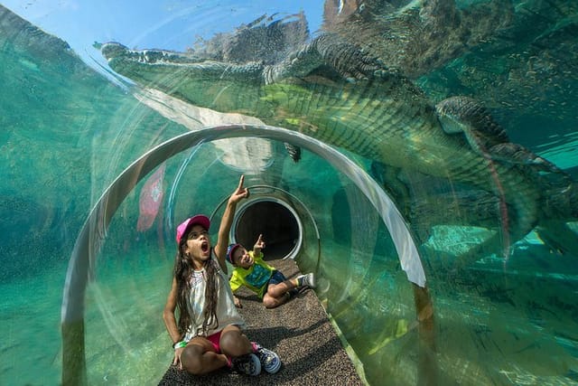 Croc tunnel